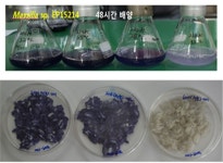 항암·항균 기능성 색소 만드는 신종 미생물 찾아