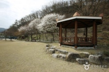 [전국맛탐방] 겨울 고령 여행, 남녀노소 선호도 높은 해물찜 맛집 찾는 관광객 증가
