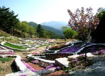 [전국맛탐방] 포천 봄나들이 즐긴 후 부드럽고 담백한 이동갈비 맛집 찾는 여행객 많아