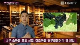 [이대한의 와인용어사전]  귀부와인 (Noble rot wine)