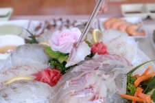 [전국맛탐방] 젊음과 낭만 가득한 주말여행, 식도락은 여수 맛집 연육교횟집