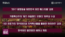 2017 광명동굴 대한민국 와인 페스티벌 성료, 재즈 아일랜드 브랜디 마루상 수상, 한국와인과 마리아주, 발전방안 세미나, 비엘티, 나파 밸리 디너