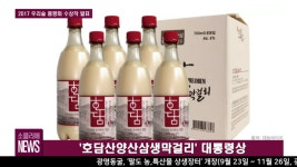 [소믈리에 뉴스] 2017 대한민국 우리술 품평회, 호담산양산삼생막걸리 대통령상 수상