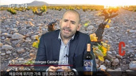 [와인&피플] 보데가 까스따뇨(Bodega Castano)의 오너 다니엘 까스따뇨(Daniel Castano)