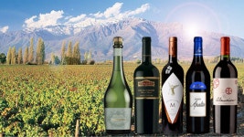 [와인시음회] WSA 금요시음회, Best Chile Wines Tasting 진행