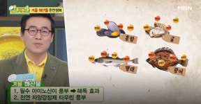 [TV 건강] 알토란, 겨울철에 해산물을 먹어야 되는 이유는? 활동량이 줄어들어 쌓인 독소를 해독한다!