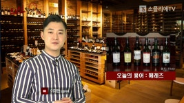 [이대한의 와인지역사전]  헤레즈(Jerez)
