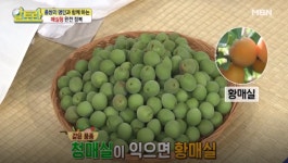 [TV 건강] 알토란, 매실청 완전 정복! 매실청은 청매실이 좋을까 황매실이 좋을까? 차이부터 좋은 매실 고르는 법, 효능까지