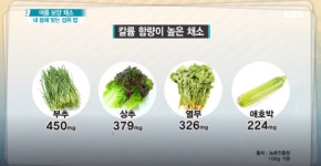 [TV 건강] 무엇이든 물어보세요, 여름 보양 채소! 내 몸에 맞는 섭취 법은? 질환별 채소 섭취 법