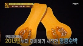 [TV 건강] 천기누설, 최고의 항암 식재료! 호박 중 최고라는 땅콩호박은 무엇일까? 효능은?