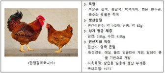 토종닭 4품종, 국제 시스템에 이름 올려