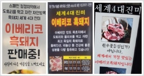 시중 판매 이베리코 흑돼지 50점 중 5점(10%) 백색 돼지로 나타나