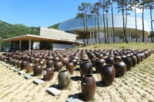 [주말여행] 봄나들이 장소 대한민국 술테마박물관, 봄내음 가득한 우리 술 매력에 빠져보자