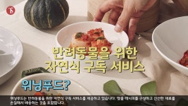[소믈리에 뉴스] 펀딩계를 흔드는 반려동물 제품, 반려견 자연식 위닝푸드