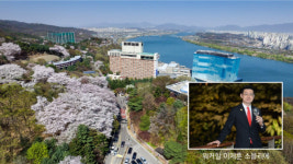 서울 호텔 가득 만개한 봄, 2019 워커힐 벚꽃 축제 개최