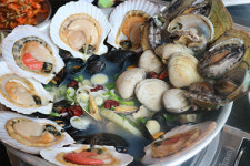 [미식산책] 현지인들에게 인기 있는 속초 해물탕 맛집 베스트 홍대포 눈길