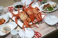[맛가이버] 경포대 맛집 주문진홍게무한리필, 강릉 횟집보다 가성비 훌륭해