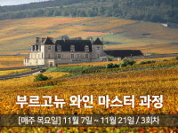 WSA와인아카데미, 부르고뉴 와인 마스터 과정 11월 7일(목) 개강