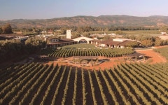 와인, 음식 그리고 경관을 모두 갖춘 세계 최고의 빈야드(Vineyard) BEST 10