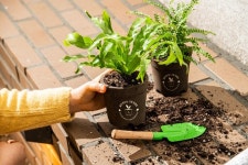 네스프레소, 재활용 커피 화분과 함께 하는 #네스프레소가피었습니다 캠페인 시작