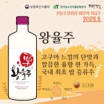 전통주갤러리, MZ세대 사로잡는 다양한 3월의 시음주 소개