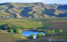 마스터 소믈리에 윌 코스텔로가 진행한 밀러 패밀리 와인 마스터 클래스