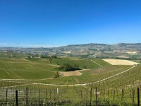 [백난영의 바롤로 신발견] 모노폴 백 년 유지 비결 - 바롤로 전통을 지킨 것뿐