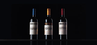 떼루아로 말하는 Val di Suga의 싱글빈야드 BDM 3종