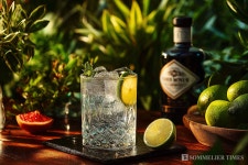 2025년 상반기 세계 진(Gin) 판매량, 전년 대비 1% 상승