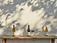 올해의 비티컬처리스트(Viticulturist of the Year),  남아공 와인 카리너스(Carinus Family Vineyards) 국내 첫 론칭