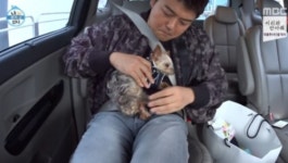 나혼자 산다 전현무 또또, 17년 애정에 안타까움 … 몸 만신창이지만, 반려에 대한 애틋함이