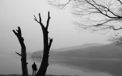 [노경민 푸념에세이 94화] 꿈이여! 다시 한 번