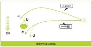 [이종철 골프심리학] 퍼팅, 그린경사 잘 읽기2...최적의 라인 프로라인