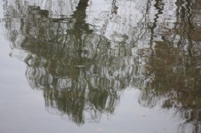 [정옥임의 시詩산책 20회] 어머니의 바늘