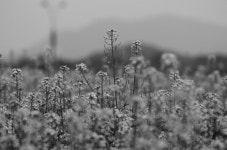 [정옥임의 시詩산책 31회] 어느 날 오후