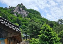 [해성스님 소리의 향기 제64회] 어르신들에게 봉사 공연을 갈 때면