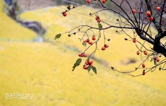 위로가 필요한 시대, 지리산둘레길 넉넉한 품에 안기다