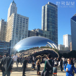 시카고 방문 한국인 8만명 넘어