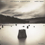 [이정훈 기자의 앵콜클래식] 밤의 시벨리우스