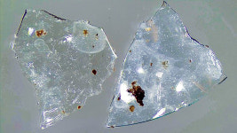 무심코 버린 콘택트렌즈, 우리 입으로 돌아온다