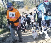 맑은 공기와 푸르른 자연 속 걷기… 이게 바로 힐링!