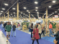 매직쇼 모처럼 활기…매출 ‘예년 이상’