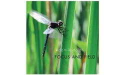 ‘피리 연주가’가민 참여 공연실황 앨범 출시