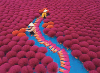 “코로나 속 목마른 예술애호가들에 단비”