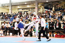 35년 전통 태권도 축제 역대급 성황