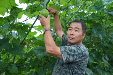 고양시, 로컬푸드의  메카로 뜬다