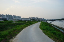 숲이 있고, 마을이 있고, 이야기가 머물고 있었네