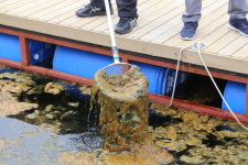 호수공원 수질관리, 이것이 궁금하다