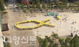 일산문화공원에 펼쳐진 304개의 노란우산