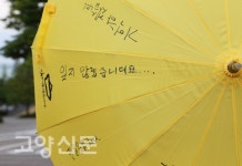 일산문화공원에 펼쳐진 304개의 노란우산